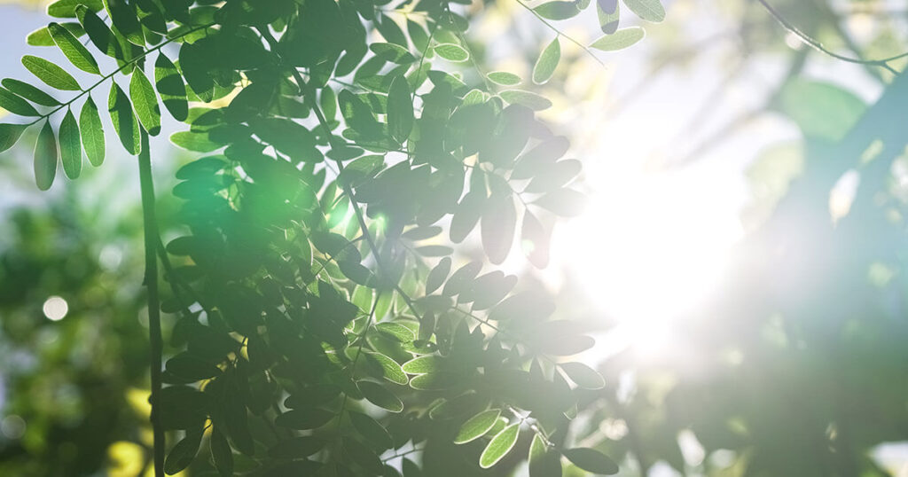 Architectural Technology’s Answer to Environmental Issues