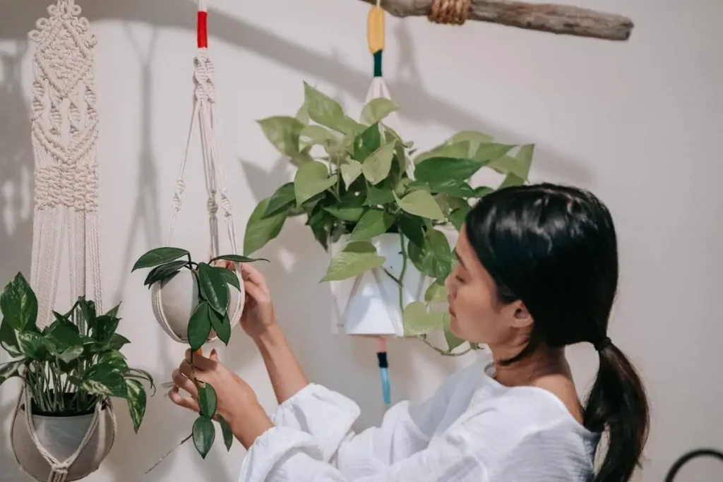 7 Clever Ways to Put Up a Garden in Your Condo