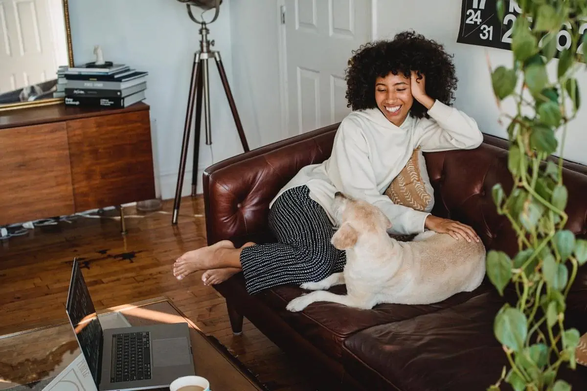 Smiling black lady playing with dog on sofa