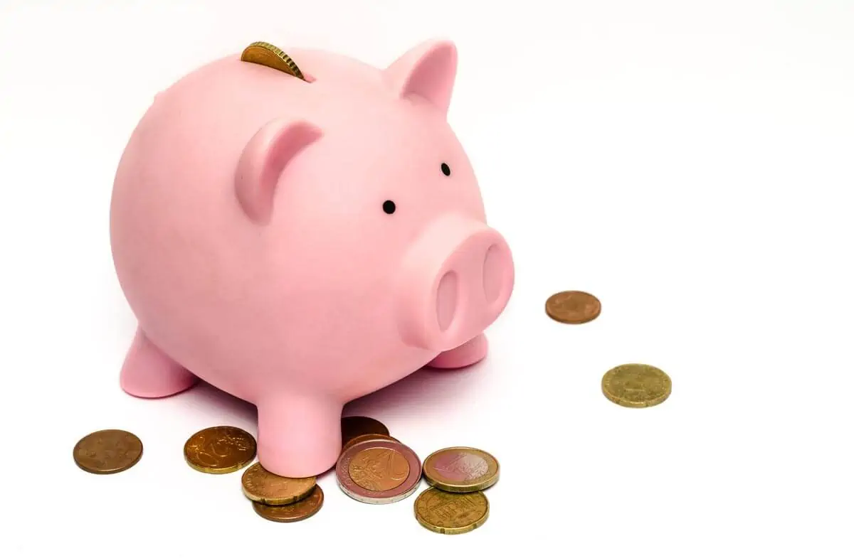 Piggy Bank with Coins image