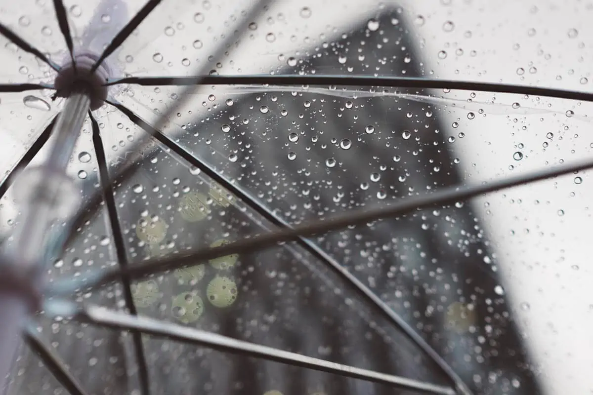 a transparent umbrella during a rainy day