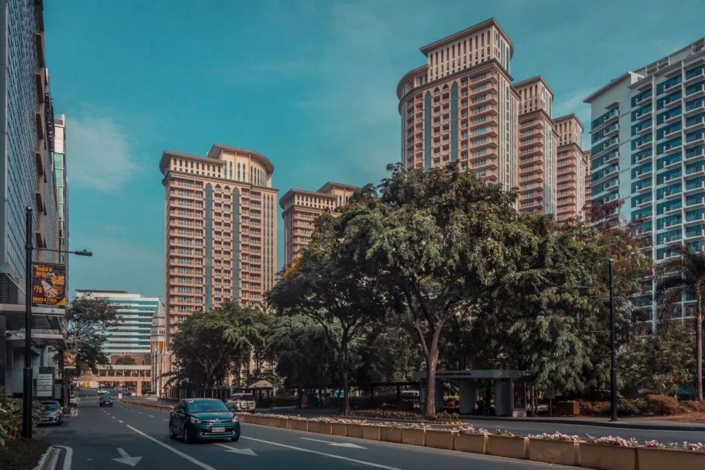 cars parked on roadside