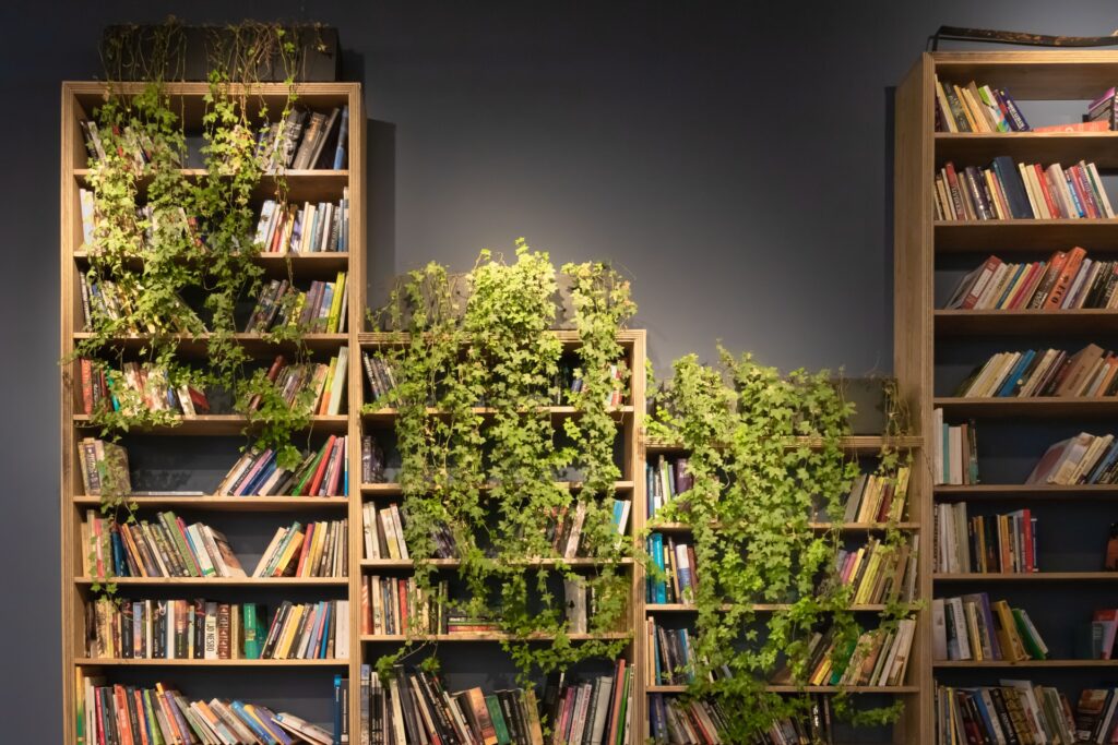 four book shelves
