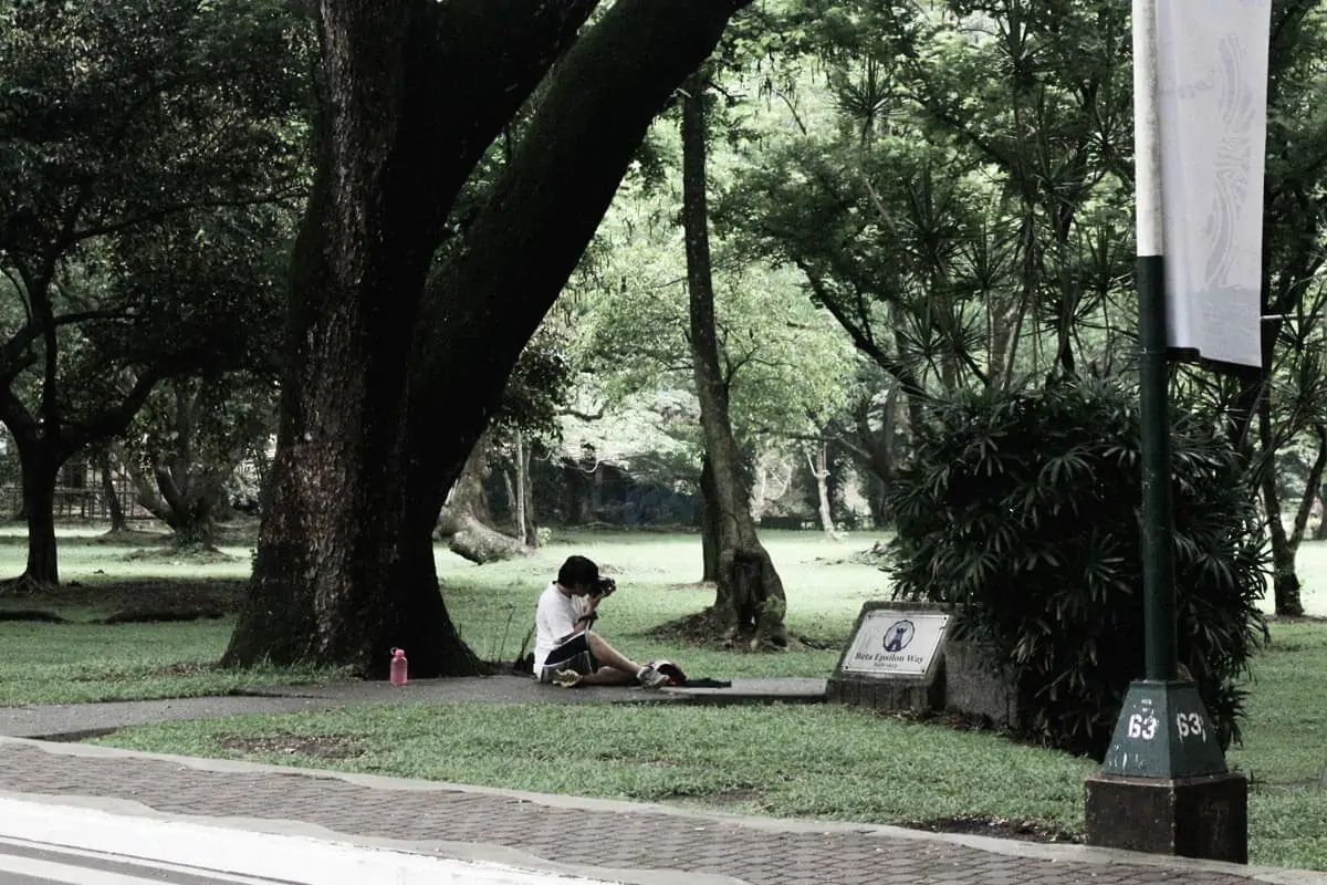 man in white t-shirt sitting under green trees