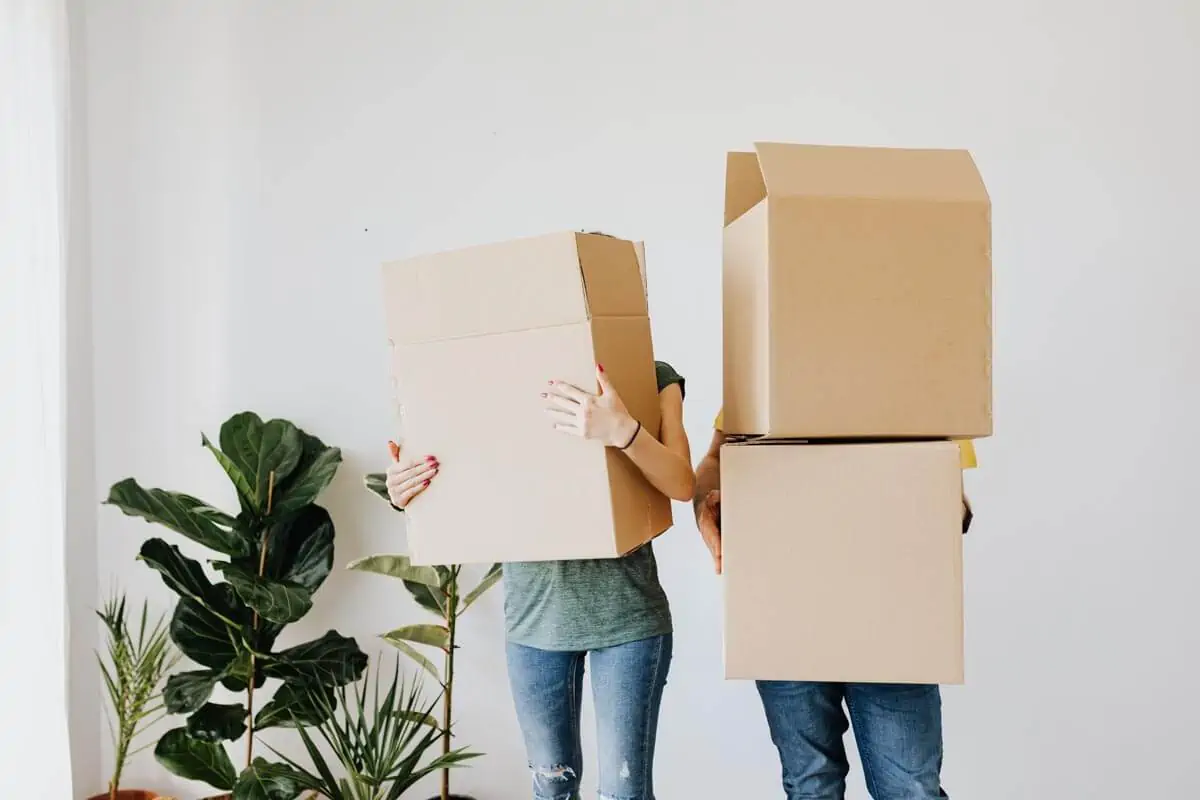 Couple carrying cardboard boxes in living room