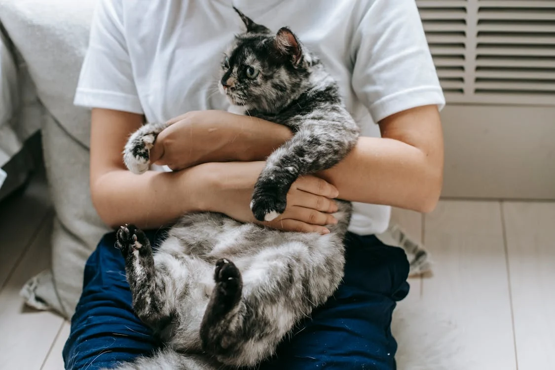 woman with soft kitty on bench