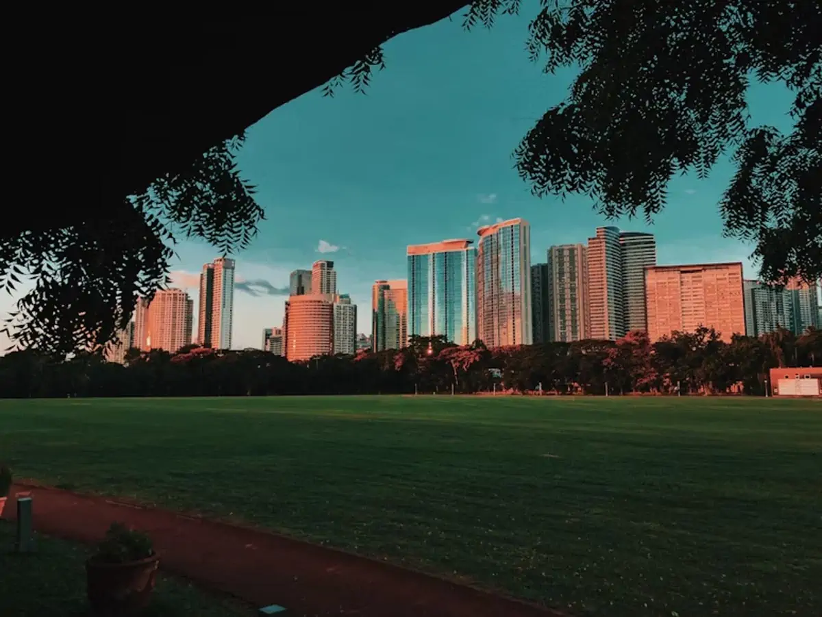 green grass field near city buildings