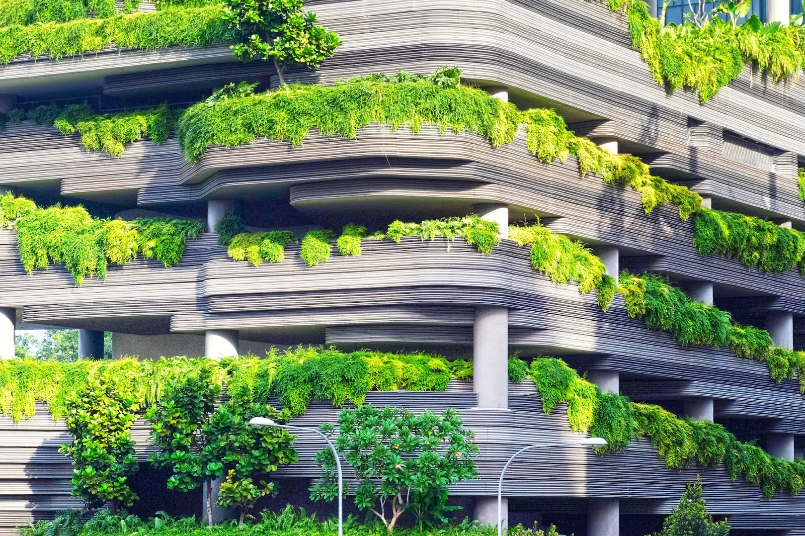 gray-concrete-building-covered-trees