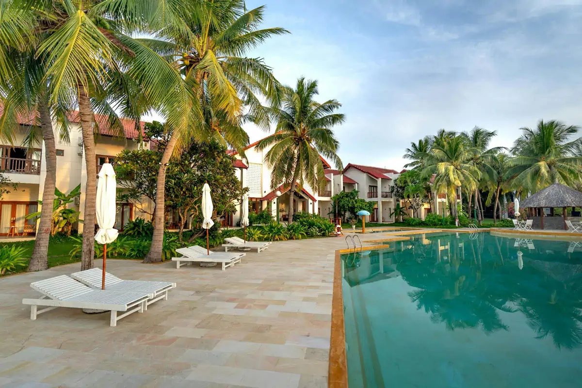 swimming pool beside coconut trees