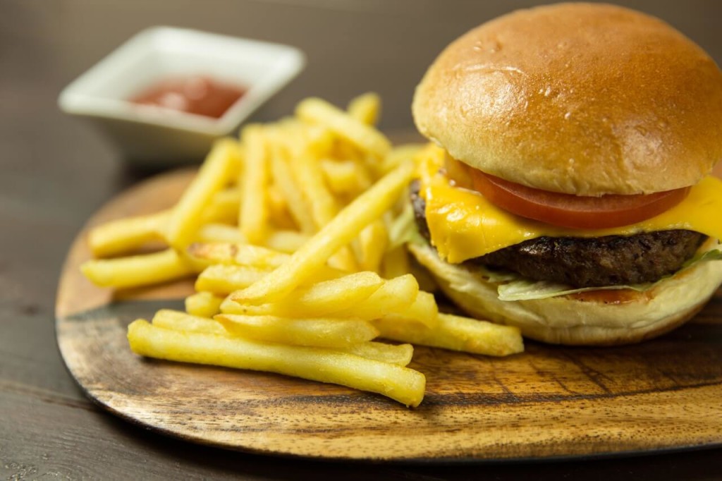 diy burger costume