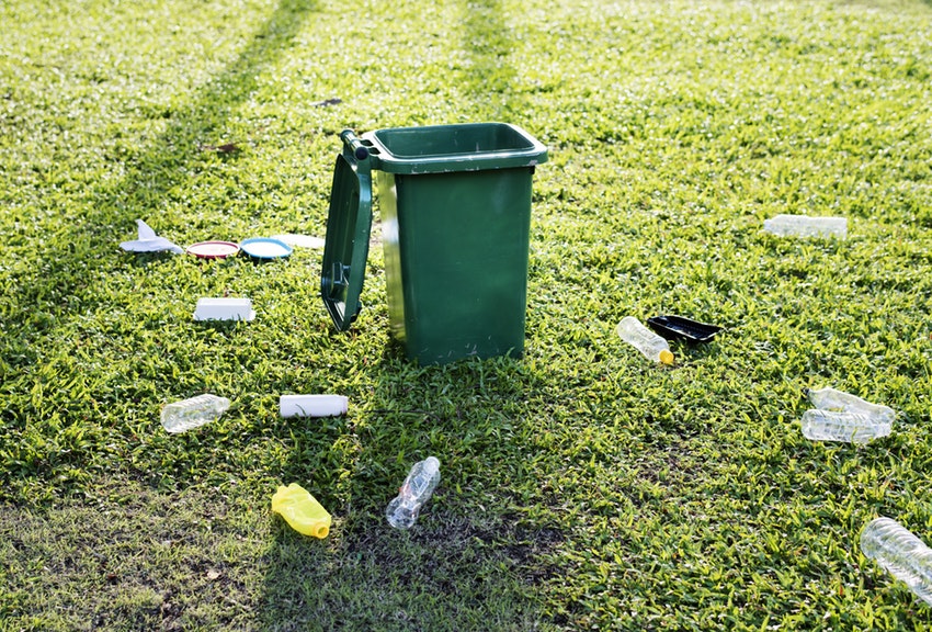 renters new year's resolution be an eco warrior