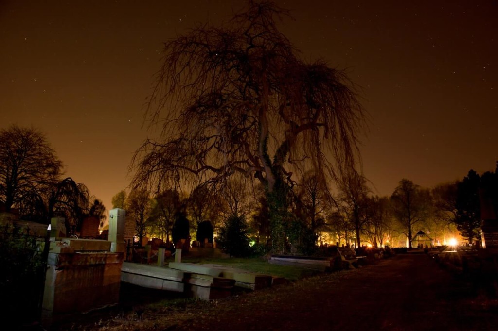 tikbalang tree