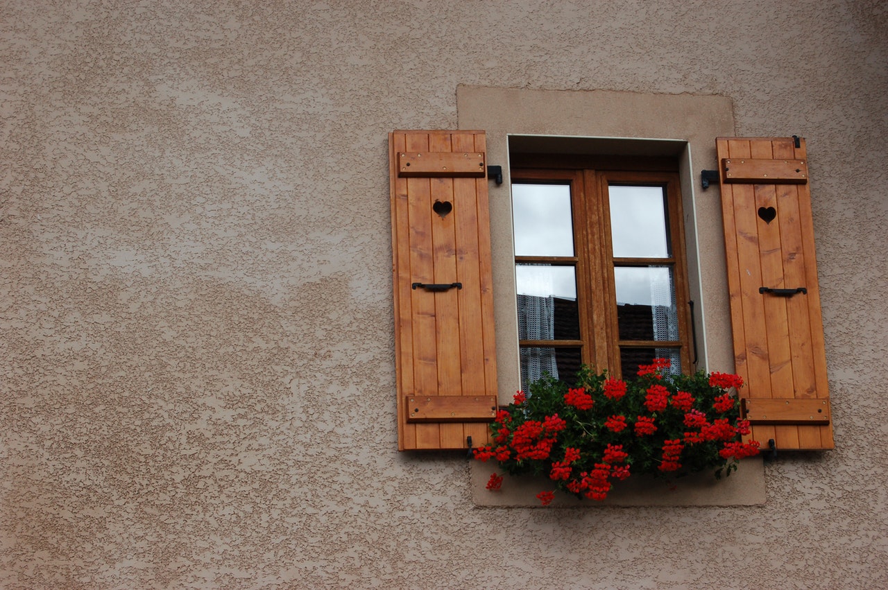 windows flower clean